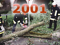 Einsätze des Jahres 2001