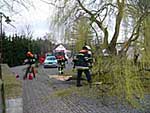 Sturmschäden Sturmschäden