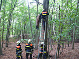 Rettung des Fallschirmspringers